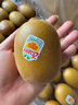佳沛（zespri）新西蘭  陽(yáng)光金果25-27粒原箱單果122-146g  中秋水果禮盒 獼猴桃 曬單實(shí)拍圖