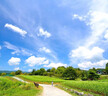 畫(huà)材酷卡通動(dòng)物畫(huà)描摹本手繪本線(xiàn)稿兒童臨摹簡(jiǎn)筆畫(huà)漫畫(huà)白描涂色動(dòng)漫控筆訓練習手繪畫(huà)線(xiàn)描幼兒園入門(mén)畫(huà)本畫(huà)冊 4冊套裝（送5件套贈品） 本 曬單實(shí)拍圖