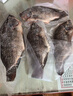 翔泰海南三去羅非魚(yú)/海南鯛1400g/共4條免處理 生鮮魚(yú)類(lèi) 海鮮水產(chǎn)中秋 曬單實(shí)拍圖