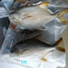 環(huán)球水產(chǎn)冷凍南海金鯧魚(yú)2斤/2條 生鮮魚(yú)類(lèi) 火鍋 深海魚(yú) 海鮮水產(chǎn) 家庭聚餐 曬單實(shí)拍圖