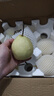 京喜加趙州水晶鴨梨新鮮水果產(chǎn)地直發(fā)【六】單果180g起 帶箱9斤裝（凈重8.2斤） 曬單實(shí)拍圖