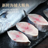 東上御品 山東 海捕大鲅魚(yú)禮盒 凈重4斤4條 冷凍馬鮫魚(yú)禮盒 源頭直發(fā) 曬單實(shí)拍圖