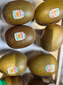 佳沛（zespri）新西蘭  陽(yáng)光金奇異果16粒禮盒經(jīng)典果單果約 77-103g 水果 獼猴桃 曬單實(shí)拍圖