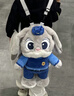 迪士尼（Disney）毛絨玩具布娃娃玩偶生日禮物女生 瘋狂動(dòng)物城朱迪公仔雙肩背包 曬單實(shí)拍圖