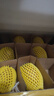 佳沛（zespri）新西蘭 陽(yáng)光金果12粒單果約122-146g 獼猴桃 中秋水果禮盒 曬單實(shí)拍圖