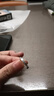 飾珀9999足銀戒指女單人輕奢高級感食指閉口小眾設計碎碎冰戒指女生 3MM碎碎冰閉口戒指 港碼15號（周長(cháng)55MM） 曬單實(shí)拍圖