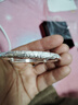 周大生足銀手鐲花朵雕花氣質(zhì)銀手鐲生日禮物送女友 曬單實(shí)拍圖