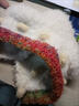 栢啟歆毛線(xiàn)帽可愛(ài)風(fēng)加厚時(shí)尚提花綁帶女冬季美拉德顯臉小套頭針織帽保暖 軟糯毛絨帽子【白色紅邊】 曬單實(shí)拍圖
