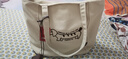盛喜鳥(niǎo)大容量托特包包女刺繡臘腸狗通勤帆布袋小眾百搭學(xué)生上課單肩大包 米灰色【掛件】 曬單實(shí)拍圖