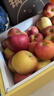 龍多鮮正宗天然冰糖心蘋(píng)果 丑蘋(píng)果 新鮮富士應季水果 送禮推薦 整9-10斤精選好果 約18-24個(gè) 凈8.5 曬單實(shí)拍圖