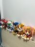 汪汪隊立大功（PAW PATROL）汪汪隊玩具毛絨全套狗狗玩偶公仔男女孩玩具旺旺隊生日禮物 7只經(jīng)典款-小號毛絨 小號-坐高約15.2CM 曬單實(shí)拍圖