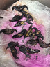 果心榴洪湖菱角新鮮老菱角生棱角老黑菱角凌角粉糯老菱角湖北特產(chǎn) 老菱角5斤 曬單實(shí)拍圖