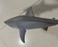wiben仿真海洋生物史前巨齒鯊模型動(dòng)物大白鯊玩具雙髻鯊錘頭鯊兒童禮物 巨齒鯊 嘴巴可閉合 新款 曬單實(shí)拍圖