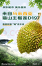 京鮮生貓山王榴蓮馬來(lái)西亞D197新鮮冷凍2.5-3斤保4房生鮮水果 曬單實(shí)拍圖