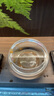 招財(cái)寵物魚冷水觀賞草金魚錦鯉魚好養(yǎng)耐活包郵包活 【1-3厘米】 招財(cái)金魚3條裝 曬單實(shí)拍圖