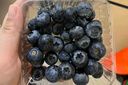 秘魯藍莓【JD快遞多地次日達】超大果花香藍莓新鮮水果送禮 4盒 越多越劃算【100g-125g/盒】 精選大果【單果18mm+】 曬單實(shí)拍圖