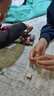 乖明星我的世界磁力方塊磁吸積木拼裝兒童玩具男女孩3-10歲寶寶生日禮物 曬單實拍圖