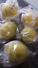 廣東香水黃檸檬新鮮檸檬奶茶店專(zhuān)用香水黃檸檬水果產(chǎn)地源頭直發(fā) （帶箱1斤）香水檸檬黃果單果70g起 曬單實(shí)拍圖