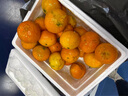 京地達廣東砂糖橘新鮮水果凈重5斤中大果35-45mm源頭直發(fā)包郵 曬單實(shí)拍圖