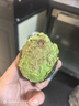 山姆大叔 金獎·哈斯牛油果云南孟連【閃送】當季鱷梨非即食新鮮水果禮盒 【80%選擇】精品果丨約100-130g 6枚【20%選擇-較劃算】普裝 曬單實(shí)拍圖