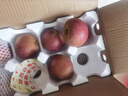 京覓四川大涼山丑蘋(píng)果 凈4.5斤 單果70mm+新鮮水果冰糖心蘋(píng)果源頭直發(fā) 曬單實(shí)拍圖