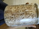 寶寶饞了高鈣蝦皮食材干貨兒童無(wú)添加鹽新鮮淡干蝦皮小蝦米海產(chǎn)享寶寶食譜 淡干蝦皮70g 曬單實(shí)拍圖