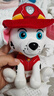 汪汪隊立大功（PAW PATROL）汪汪隊玩具毛絨全套狗狗玩偶公仔男女孩玩具旺旺隊生日禮物 經(jīng)典款-毛毛公仔【需選尺寸】 小號-坐高約15.2CM 曬單實(shí)拍圖