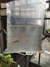寵小俠純種孔雀魚(yú)觀(guān)賞魚(yú)好養耐活淡水小型魚(yú)熱帶魚(yú)鳳尾熱帶魚(yú)小魚(yú)苗 20條小型魚(yú)混養套餐1 曬單實(shí)拍圖