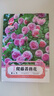 【爬墻高手】四季播薔薇花種子爬藤月季玫瑰開(kāi)花不斷爬墻庭院花卉 爬墻薔薇花種子/包約120粒 1包 曬單實(shí)拍圖