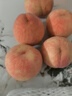 河北深州大蜜桃【順豐速發(fā)】馬莊水蜜桃大壽桃油蟠桃貢桃水果禮盒 壽桃 6枚 甑選果王【單果1斤+】 曬單實(shí)拍圖