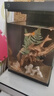 米家智能桌面魚(yú)缸小米生態(tài)魚(yú)缸小型智能專(zhuān)業(yè)背濾一體缸自循環(huán) 曬單實(shí)拍圖