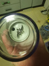 小熊（Bear）榨汁杯 家用便攜式榨汁機 水果果蔬果汁機 碎冰小型果汁杯LLJ-E03U1【國家補貼】 曬單實(shí)拍圖