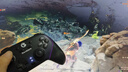 蓋世小雞（GAMESIR）超新星無(wú)線(xiàn)游戲手柄switch2手柄 體感手機安卓蘋(píng)果Steam電腦NS2pro電視藍牙明末絕區零黑神話(huà)悟空 曬單實(shí)拍圖