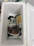 潮夫道冷藏黑毛肚250g 川渝火鍋食材麻辣燙毛肚牛肚牛百葉生鮮 曬單實(shí)拍圖