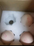 黃天鵝可生食雞蛋30枚/3.18斤禮盒裝生鮮雞蛋源頭直發(fā)無(wú)抗生素 中秋禮品 曬單實(shí)拍圖