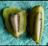 佳沛（zespri）綠奇異果 優(yōu)選大果12粒單果約113-135g  水果 獼猴桃 曬單實(shí)拍圖