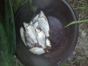 沃鼎王者神劍三代釣魚(yú)竿手竿碳纖維超輕鯽魚(yú)竿綜合臺釣竿 3.6米 4.5H 曬單實(shí)拍圖