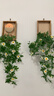 LZJVins風(fēng)小雛菊壁掛仿真花藤藤蔓條纏繞掛墻面遮擋裝飾綠植假花壁飾 雛菊壁掛贈送無(wú)痕釘【一整套】 曬單實(shí)拍圖