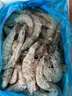 GUO LIAN國聯(lián) 國產(chǎn)鹽凍大蝦 無(wú)冰凈重3斤 特大號45-60只 白對蝦中秋海鮮 曬單實(shí)拍圖