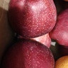 京鮮生 天水花牛蘋果 凈重4.5斤 單果210g+ 生鮮水果源頭直發(fā) 曬單實拍圖