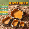 Barbarous Growth樹(shù)脂爬寵飼養箱造景爬寵喂食盆水龜寄居蟹泡澡盆守宮蜥蜴角蛙食盤(pán) 食盆迷你號【防摔 容量大】 曬單實(shí)拍圖