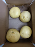 琪江果福建黃金葡萄柚 當季西柚黃肉小柚子新鮮水果整箱 黃金葡萄柚4.5-5斤4-6個(gè) 曬單實(shí)拍圖