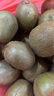 京鮮生 陜西徐香綠心獼猴桃 24粒單果90-110g 新鮮水果 源頭直發(fā) 曬單實(shí)拍圖
