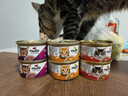 NULO自由天性貓罐頭主食濕糧全價(jià)高蛋白低敏易消化成貓幼貓糧 混合口味|79g*6  26年10月 曬單實(shí)拍圖