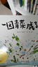 信誼原創(chuàng  )圖畫(huà)書(shū)系列-一園青菜成了精【3-6歲】豐子愷兒童畫(huà)書(shū)獎 激發(fā)兒童想象力的優(yōu)秀童書(shū)繪本 一升二銜接 小升初銜接 曬單實(shí)拍圖