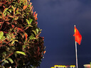 如薇（RNW）去黑頭額頭貼5組10片導出精華液粉刺收縮毛孔免撕拉深層清潔面膜 曬單實(shí)拍圖