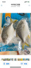 翔泰 海南金鯧魚(yú)凈重900g 2條裝  魚(yú)類(lèi)生鮮 火鍋食材 海鮮水產(chǎn) 中秋 曬單實(shí)拍圖