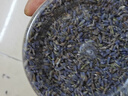 薰衣草中藥材熏衣草干花粒安香薰香神包助枕頭眠香料新貨花茶 【薰衣草】250g*1罐 曬單實(shí)拍圖
