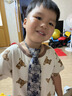T&Twenties香檳色領(lǐng)帶男咖色商務(wù)免打結(jié)拉鏈?zhǔn)綇?fù)古條紋結(jié)婚新郎手打懶人棕色[拉鏈款]藏青卡其腰果花 曬單實(shí)拍圖