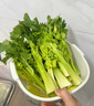 物鮮仙子清芹芽新鮮特色蔬菜云南高原水果青芹芽西芹嫩芽餐飲特色食材順豐 1500g 精選 曬單實(shí)拍圖